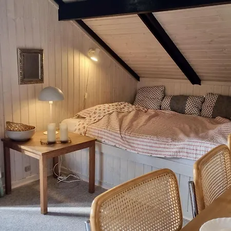 Ferienhaus-mit-kamin-grossem-garten-und-strandnaehe *