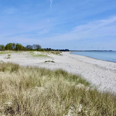 Ferienhaus-mit-kamin-grossem-garten-und-strandnaehe *